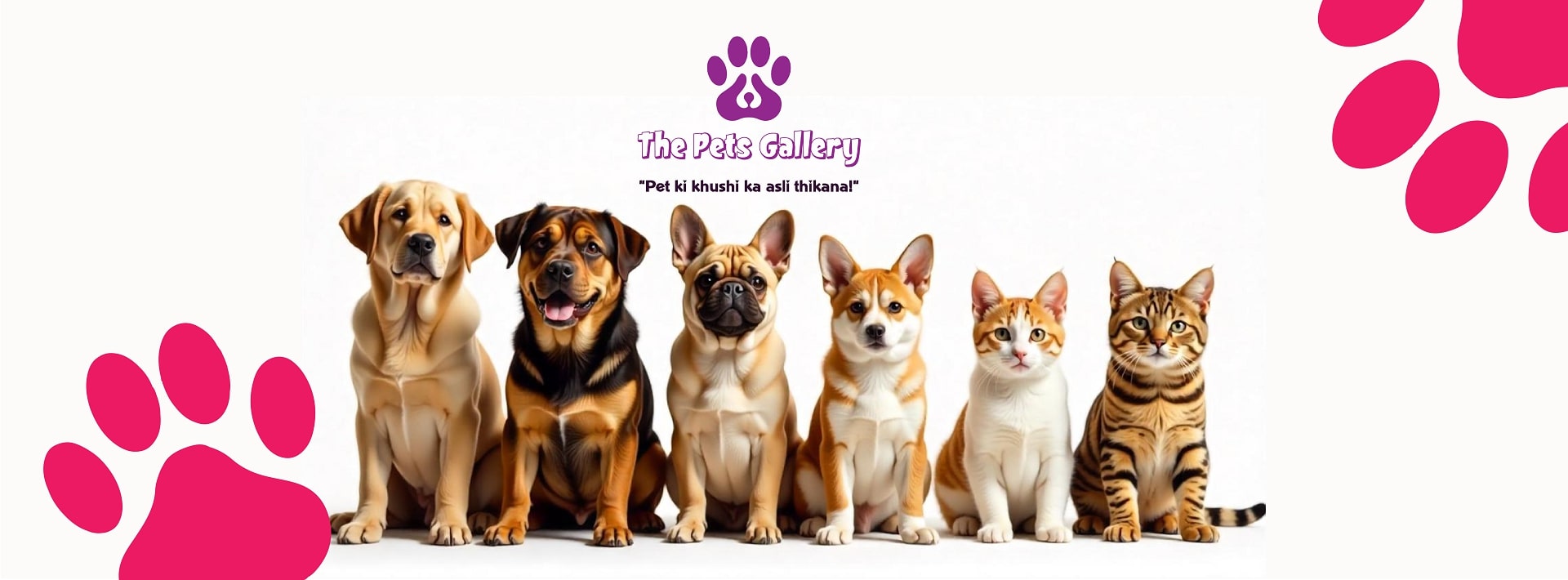 Food & Pet Care Point